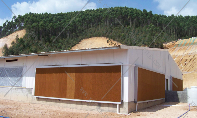 還在為廠房的墻體煩惱嗎？使用星發(fā)優(yōu)質(zhì)墻體廠房塑料瓦