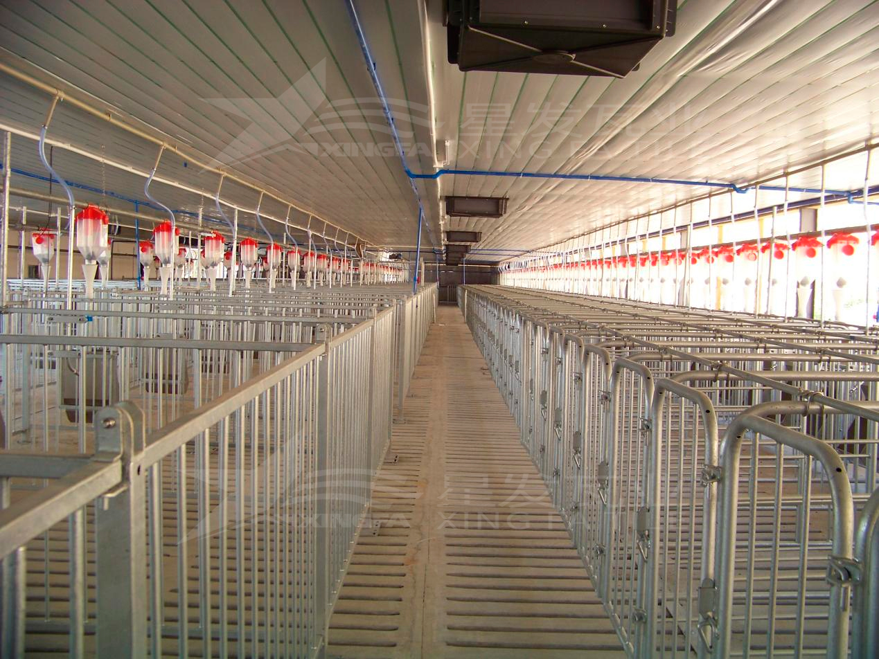 高溫來(lái)襲，養(yǎng)殖場(chǎng)安裝樹(shù)脂瓦，為小動(dòng)物營(yíng)造避暑勝地